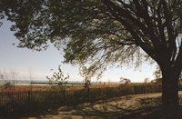 Evanston     Lake Michigan Park in Autumn